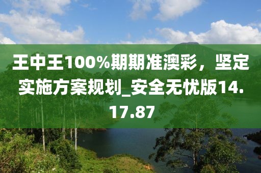 王中王100%期期准澳彩，坚定实施方案规划_安全无忧版14.17.87