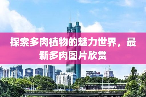 探索多肉植物的魅力世界，最新多肉图片欣赏