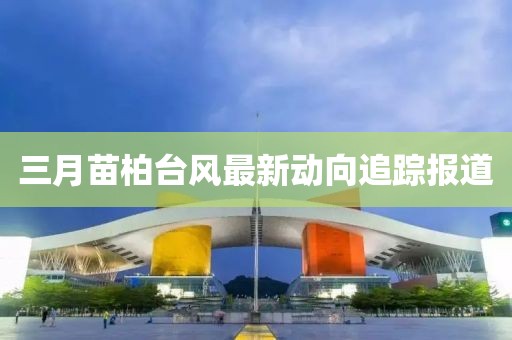 三月苗柏台风最新动向追踪报道
