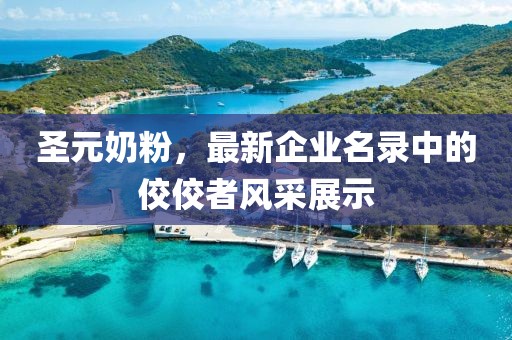 圣元奶粉，最新企业名录中的佼佼者风采展示