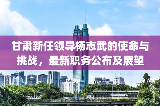 甘肃新任领导杨志武的使命与挑战，最新职务公布及展望