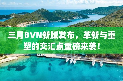 三月BVN新版发布，革新与重塑的交汇点重磅来袭！