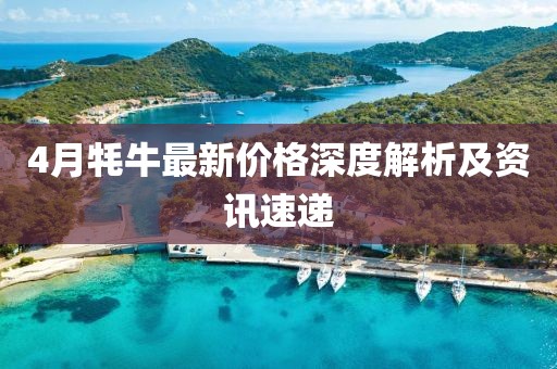 4月牦牛最新价格深度解析及资讯速递