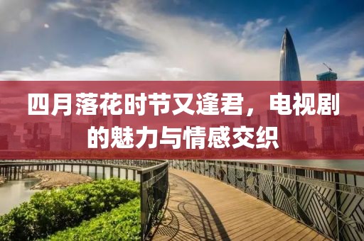 四月落花时节又逢君，电视剧的魅力与情感交织