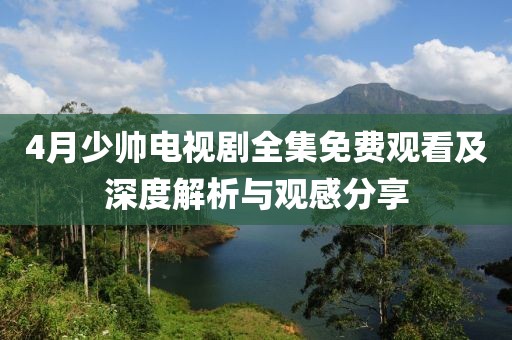 4月少帅电视剧全集免费观看及深度解析与观感分享
