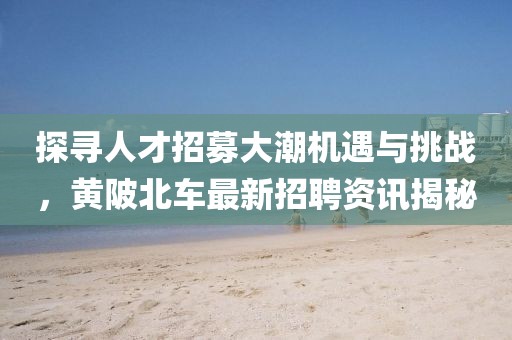 探寻人才招募大潮机遇与挑战，黄陂北车最新招聘资讯揭秘