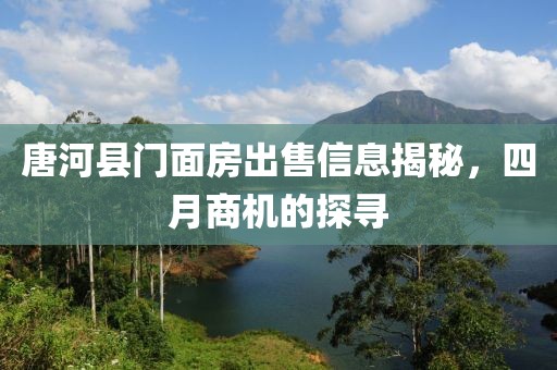 唐河县门面房出售信息揭秘，四月商机的探寻