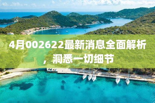 4月002622最新消息全面解析，洞悉一切细节