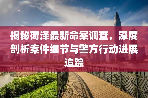揭秘菏泽最新命案调查，深度剖析案件细节与警方行动进展追踪