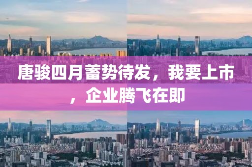 唐骏四月蓄势待发，我要上市，企业腾飞在即