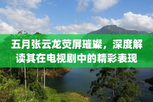 五月张云龙荧屏璀璨，深度解读其在电视剧中的精彩表现