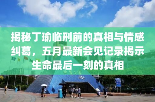 揭秘丁瑜临刑前的真相与情感纠葛，五月最新会见记录揭示生命最后一刻的真相