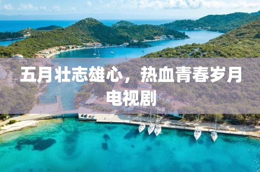 五月壮志雄心，热血青春岁月电视剧