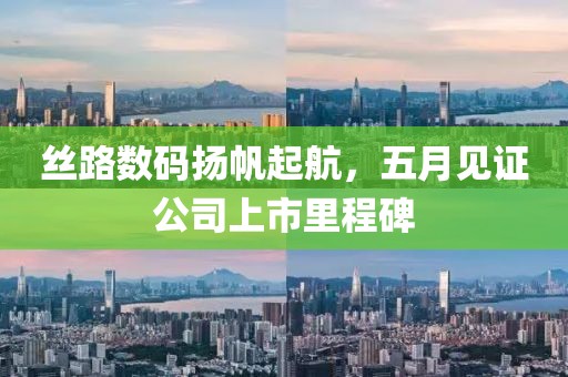 丝路数码扬帆起航，五月见证公司上市里程碑
