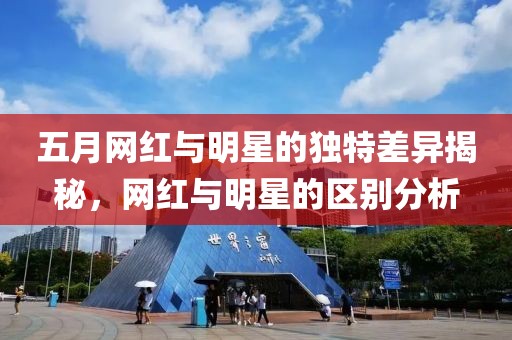 五月网红与明星的独特差异揭秘，网红与明星的区别分析