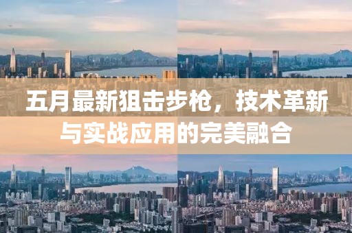 五月最新狙击步枪，技术革新与实战应用的完美融合