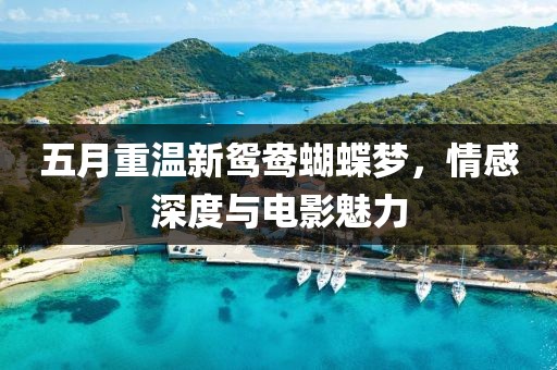 五月重温新鸳鸯蝴蝶梦，情感深度与电影魅力