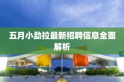 五月小勐拉最新招聘信息全面解析