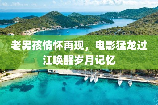 老男孩情怀再现，电影猛龙过江唤醒岁月记忆