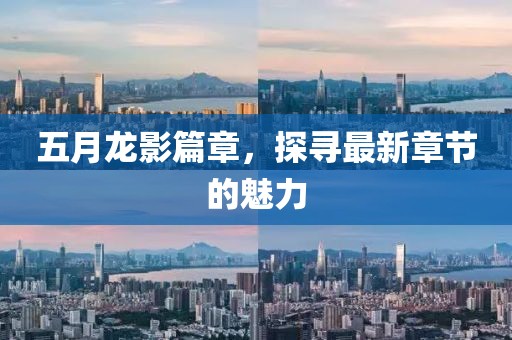 五月龙影篇章，探寻最新章节的魅力