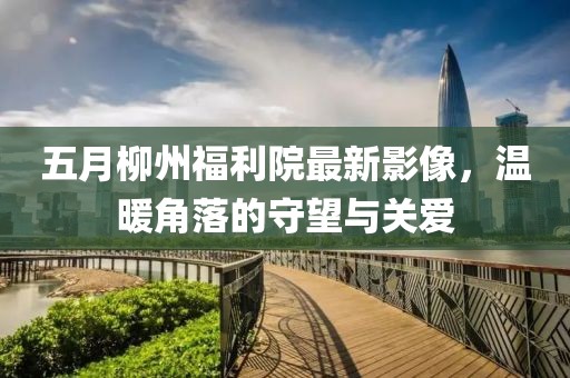 五月柳州福利院最新影像，温暖角落的守望与关爱