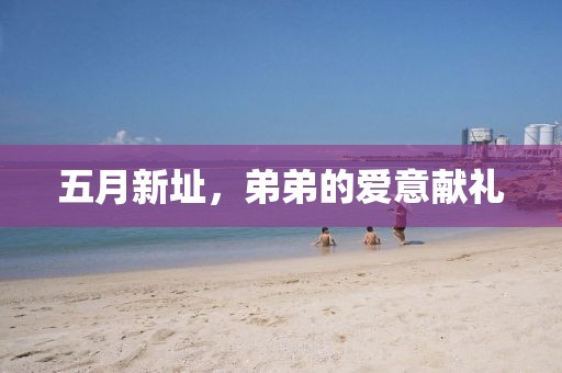 五月新址，弟弟的爱意献礼