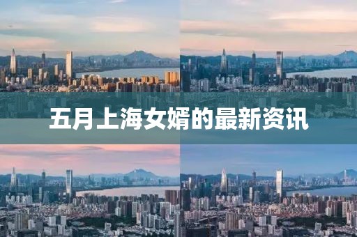 五月上海女婿的最新资讯