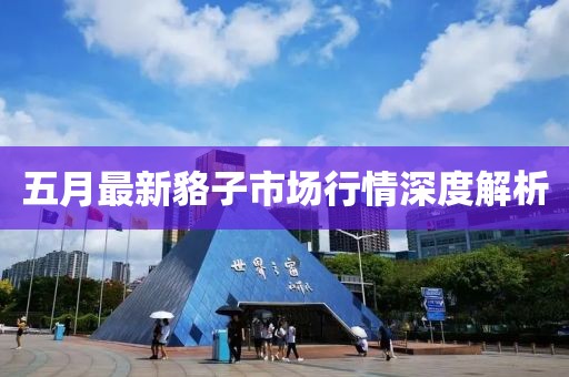 五月最新貉子市场行情深度解析