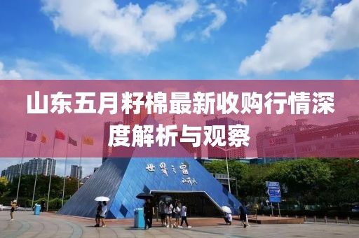 山东五月籽棉最新收购行情深度解析与观察