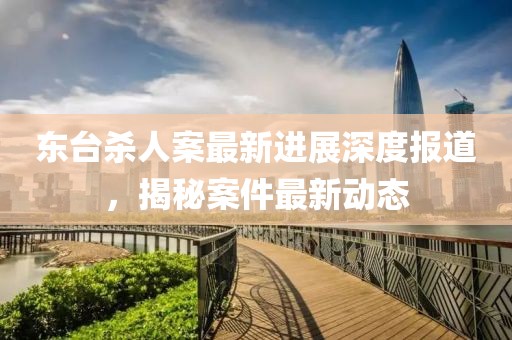 东台杀人案最新进展深度报道，揭秘案件最新动态