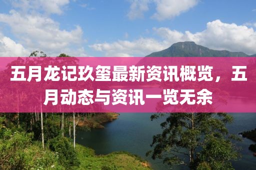 五月龙记玖玺最新资讯概览，五月动态与资讯一览无余