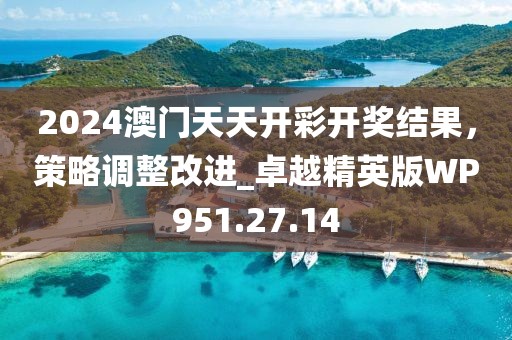 2024澳门天天开彩开奖结果，策略调整改进_卓越精英版WP951.27.14