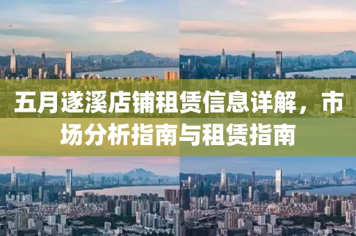 五月遂溪店铺租赁信息详解，市场分析指南与租赁指南