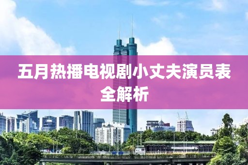 五月热播电视剧小丈夫演员表全解析