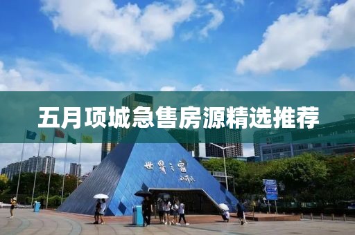 五月项城急售房源精选推荐