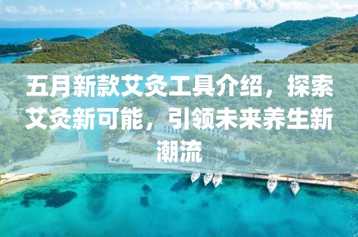 五月新款艾灸工具介绍，探索艾灸新可能，引领未来养生新潮流