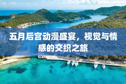 五月后宫动漫盛宴，视觉与情感的交织之旅