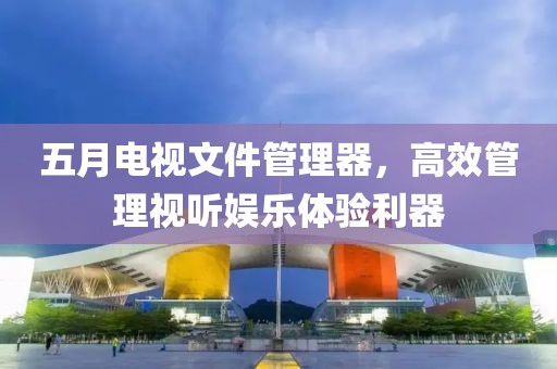 五月电视文件管理器，高效管理视听娱乐体验利器