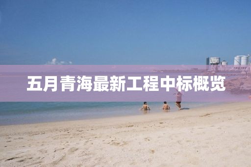 五月青海最新工程中标概览