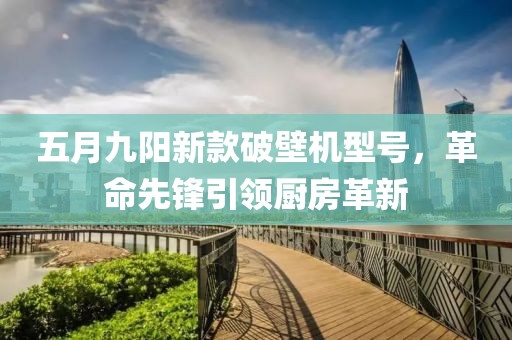 五月九阳新款破壁机型号，革命先锋引领厨房革新