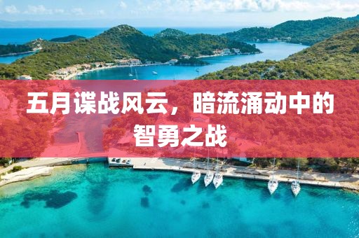 五月谍战风云，暗流涌动中的智勇之战
