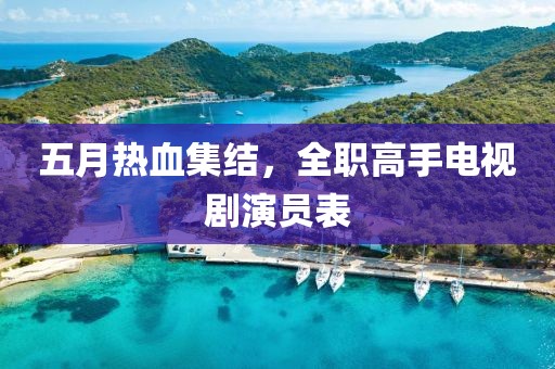五月热血集结，全职高手电视剧演员表