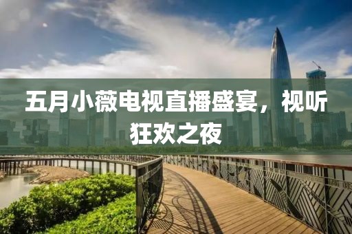 五月小薇电视直播盛宴，视听狂欢之夜