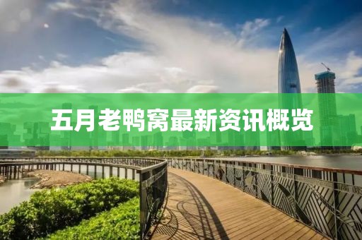 五月老鸭窝最新资讯概览