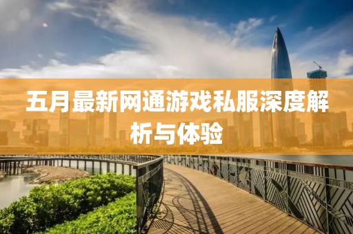 五月最新网通游戏私服深度解析与体验
