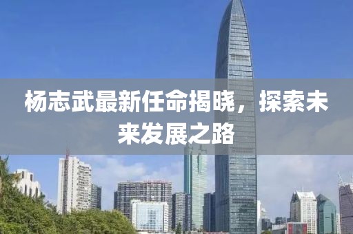 杨志武最新任命揭晓，探索未来发展之路