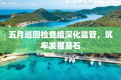 五月巡回检查组深化监管，筑牢发展基石