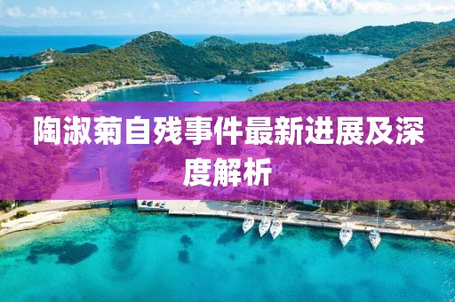 陶淑菊自残事件最新进展及深度解析