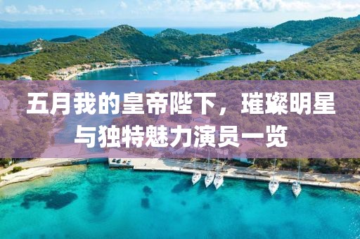 五月我的皇帝陛下，璀璨明星与独特魅力演员一览