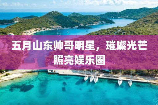 五月山东帅哥明星，璀璨光芒照亮娱乐圈